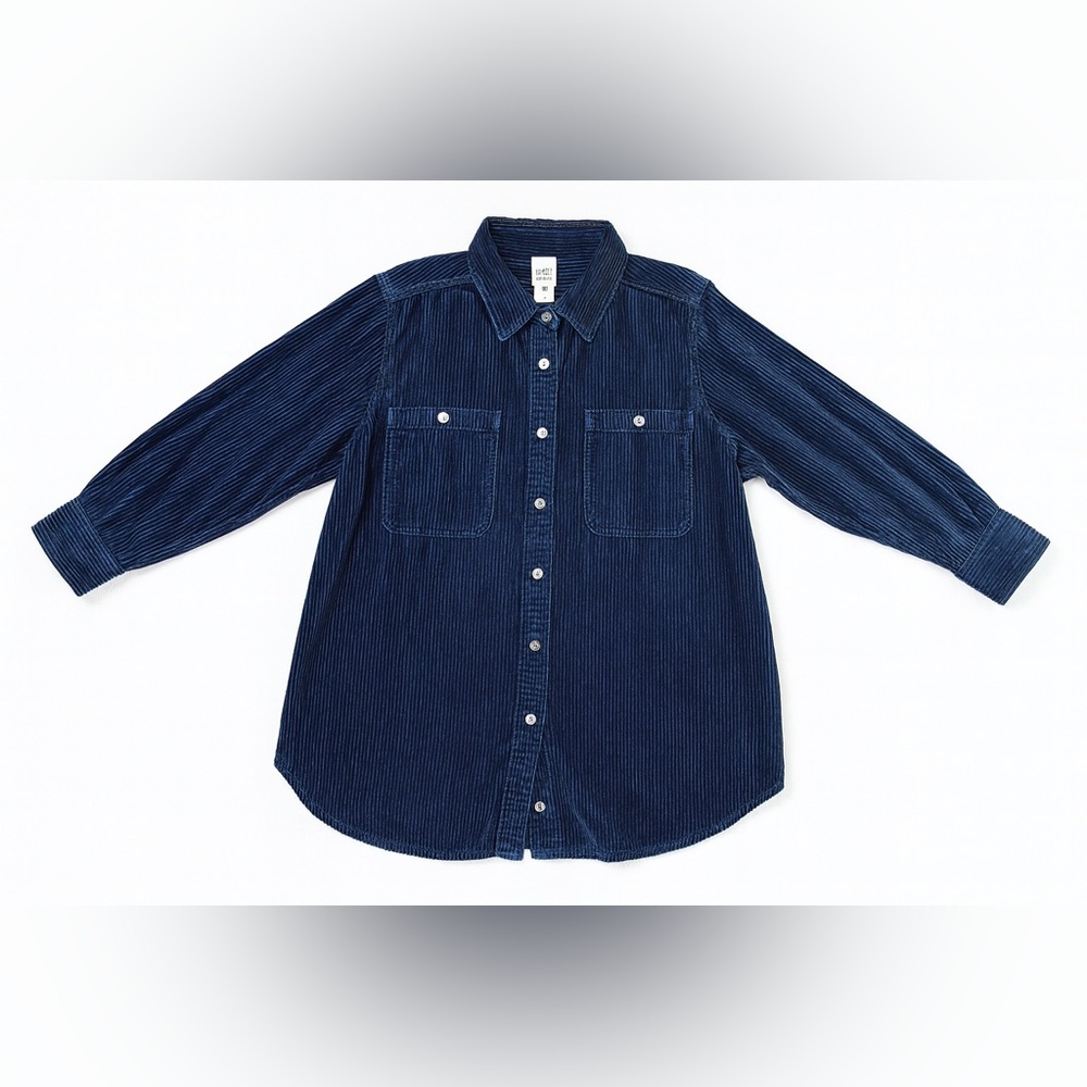 Roaman's Navy Corduroy Button Down Shirt 1x